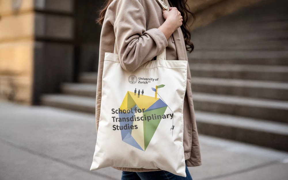 School for Transdisciplinary Studies